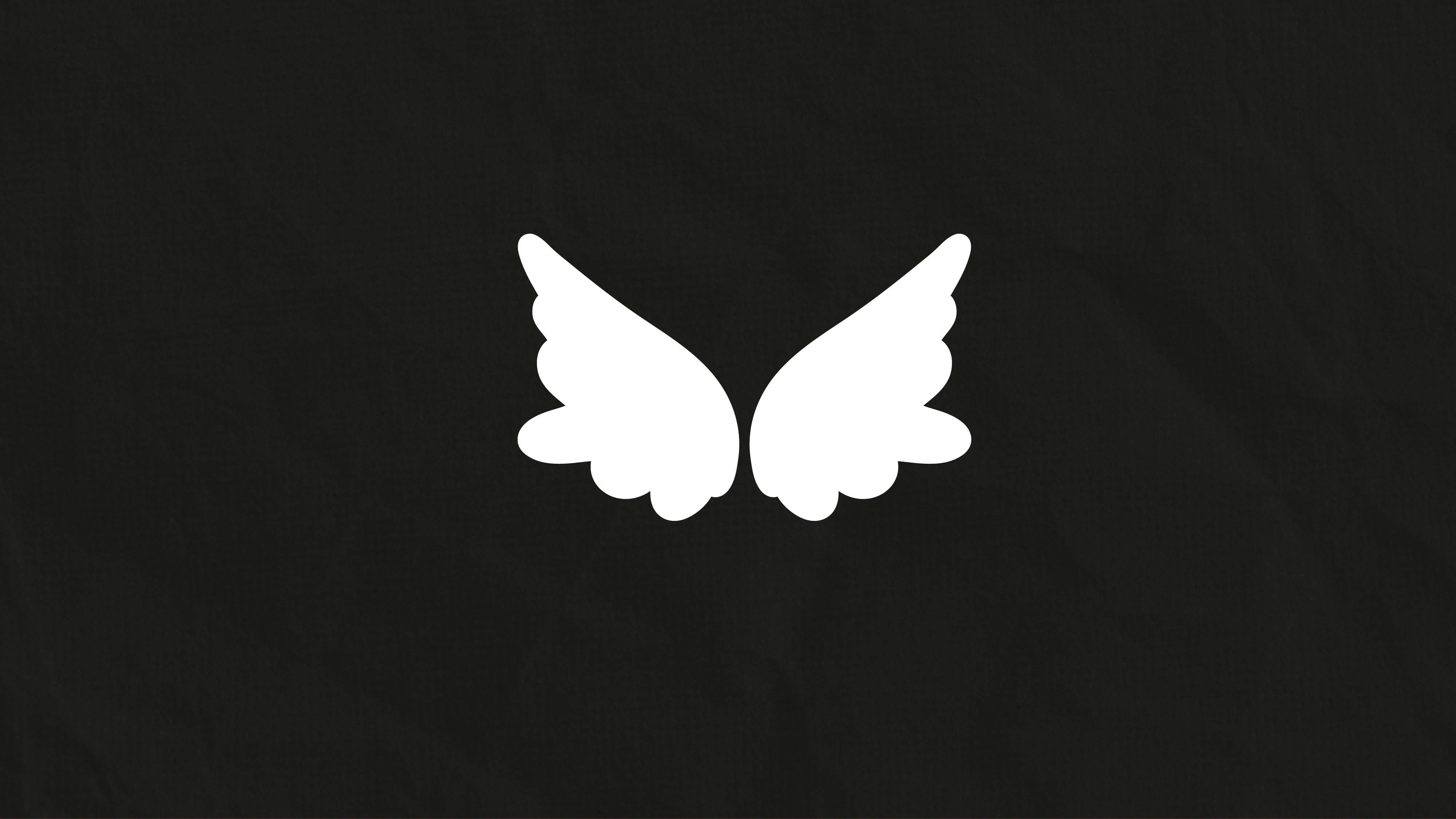 Portfolio Images